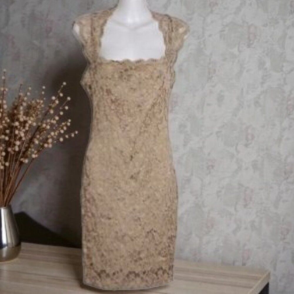 Rubber Ducky Productions Nude/Tan Lace Dress Size Medium
